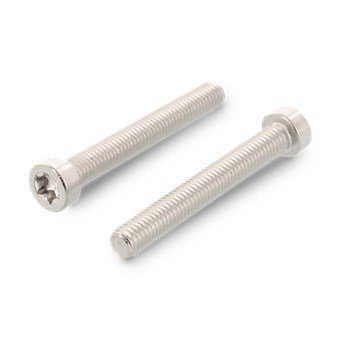 Рекомендуем купить ISO 14580 A2 M4X8 TX20