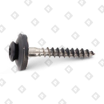 Art. 9087 A2 4,5X100 TX20 - RAL 7016 - №2