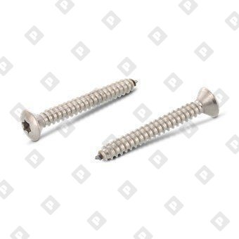 ISO 14587 A4 C 5,5X60 TX25 - №1