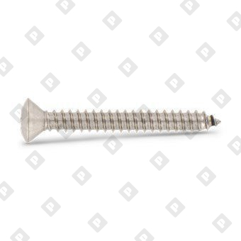 ISO 14587 A4 C 5,5X60 TX25 - №2