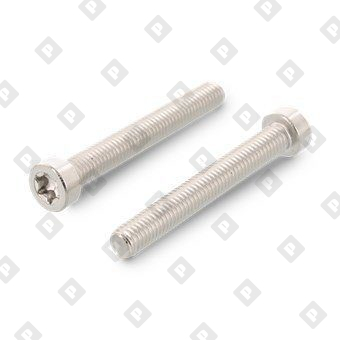 ISO 14580 A2 M2X16 TX6 - №1